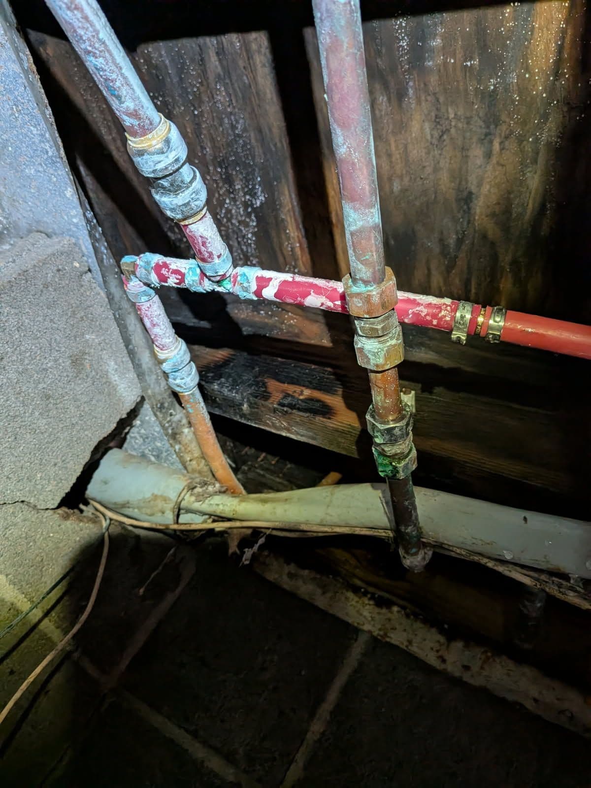 Solving Water Woes with Expert Repiping Services image